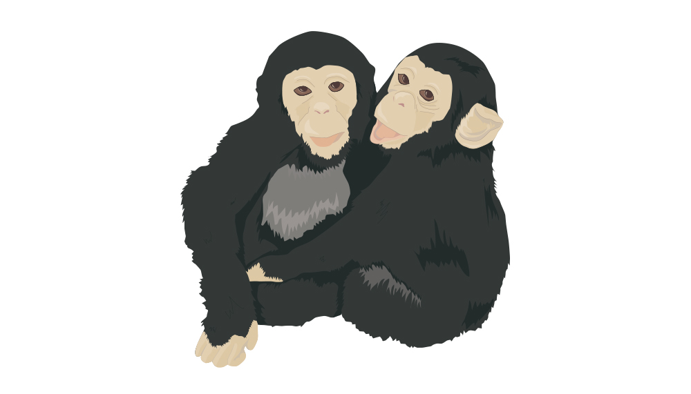 Zoo Logo