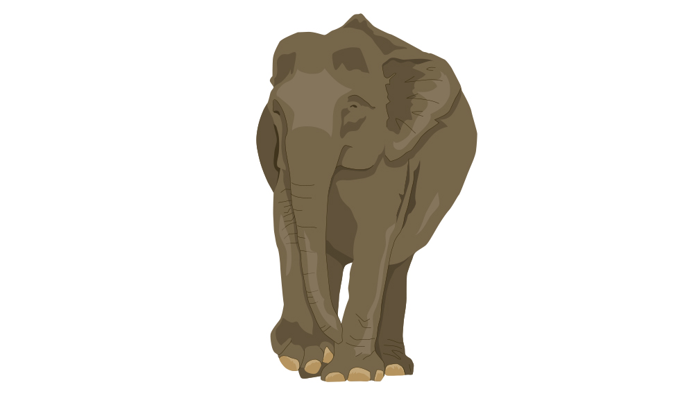 Zoo Logo